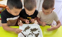 Что ищет палеонтолог